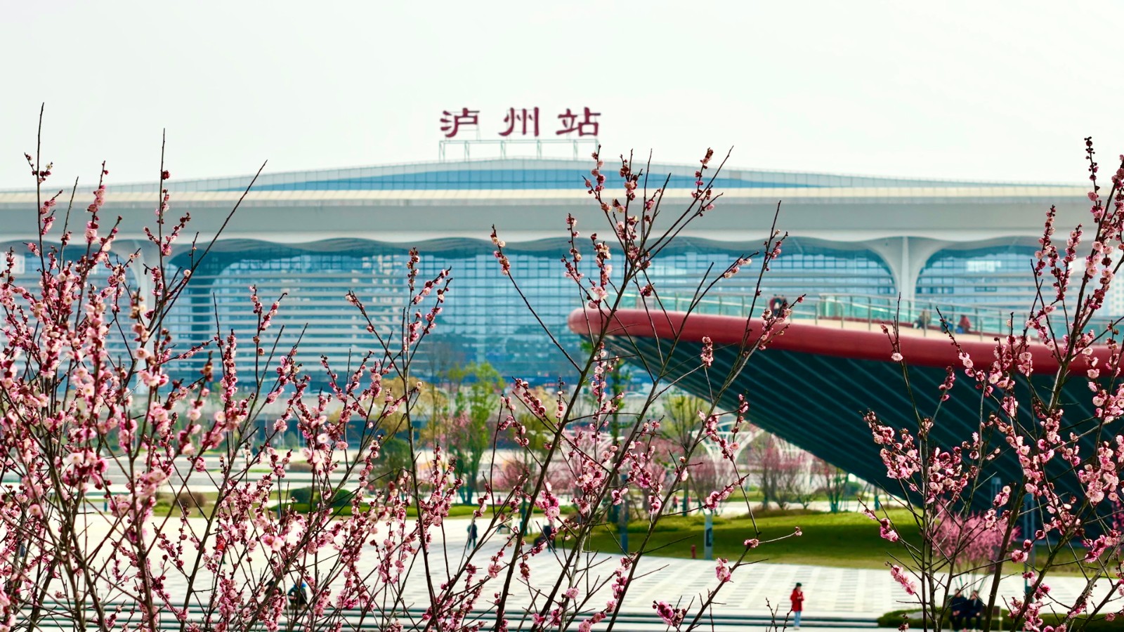 今年会jinnianhui园林绿化维护